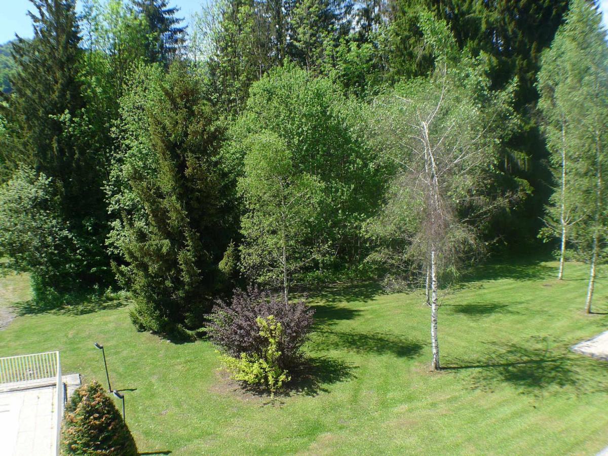 Appartement Cosy Avec Piscines, Parking Et Wifi A Samoens - Fr-1-629-32 المظهر الخارجي الصورة